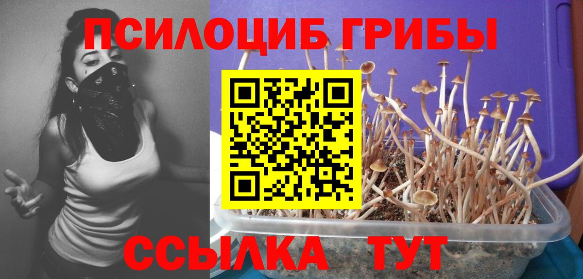 Псилоцибиновые грибы Psilocybine cubensis  Вход с VPN  Феодосия 